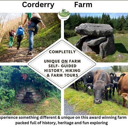 Corderry Farmhouse, Idyllic Cottage Amid 250 Acres Lisvernane エクステリア 写真