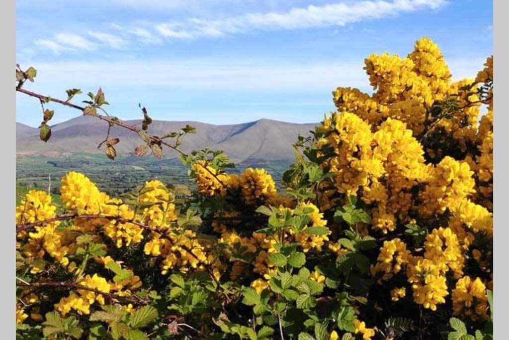 Corderry Farmhouse, Idyllic Cottage Amid 250 Acres Lisvernane エクステリア 写真