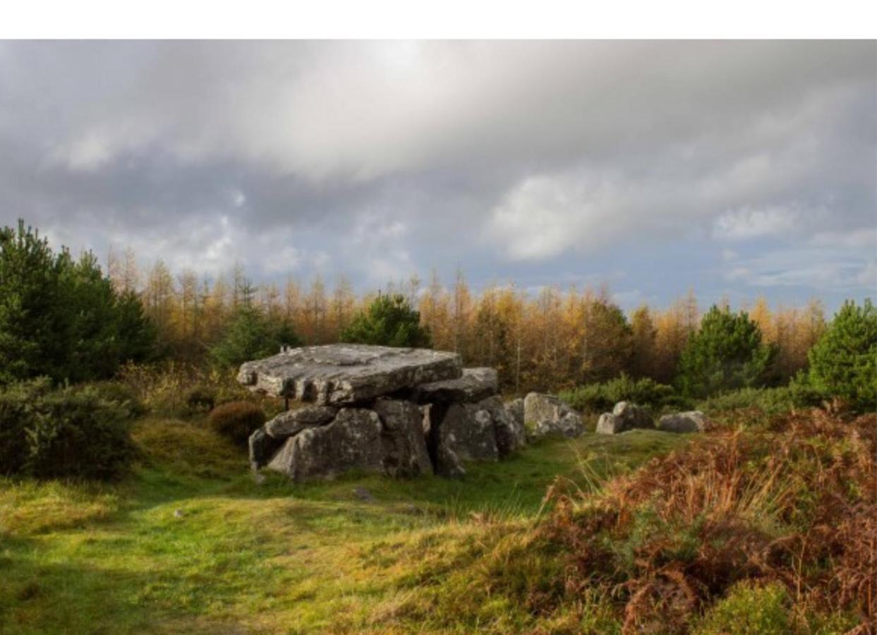 Corderry Farmhouse, Idyllic Cottage Amid 250 Acres Lisvernane エクステリア 写真