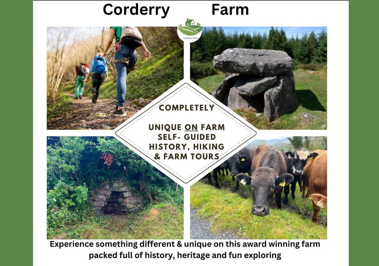 Corderry Farmhouse, Idyllic Cottage Amid 250 Acres Lisvernane エクステリア 写真